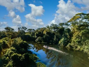 Pampa Sul-Americano perdeu 20% de sua vegetação campestre no período, incluindo 8,7 milhões de hectares de campos nativos